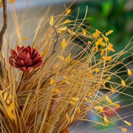 Akis מלון Kamári